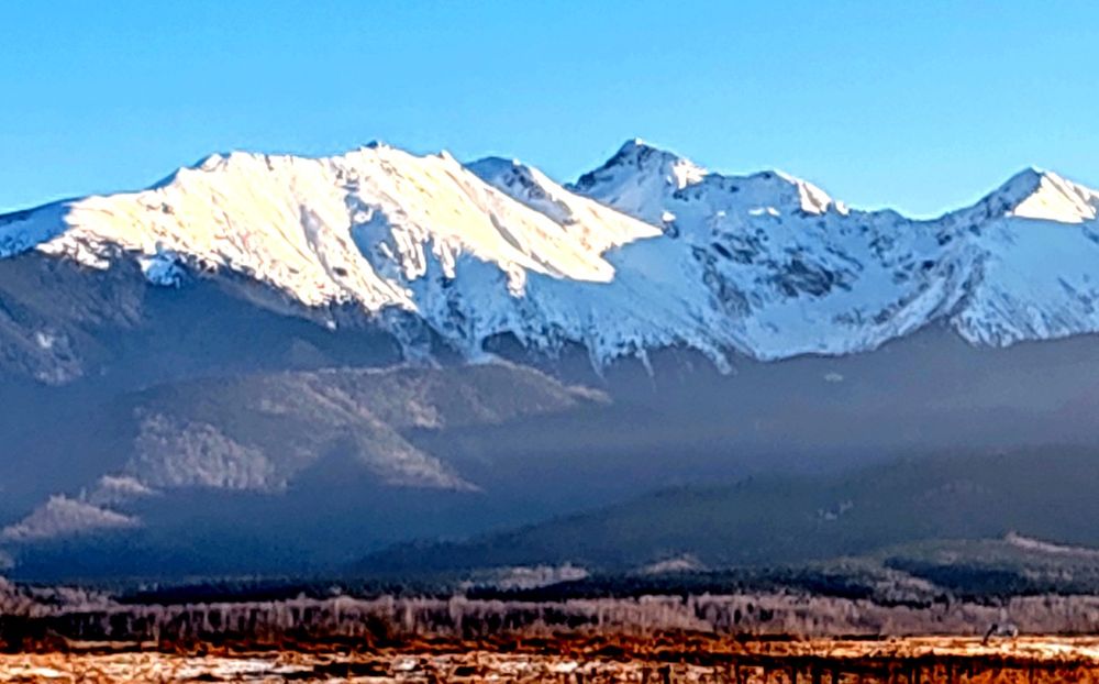 Teren Valea Avrigului