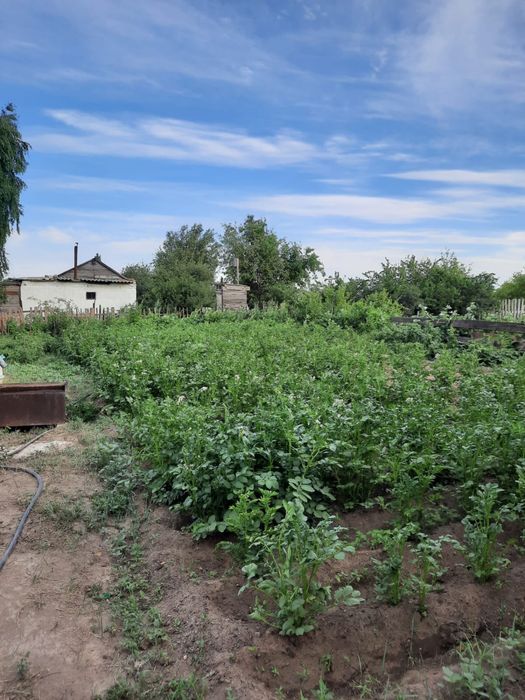 Продам дачу с баней и светом!