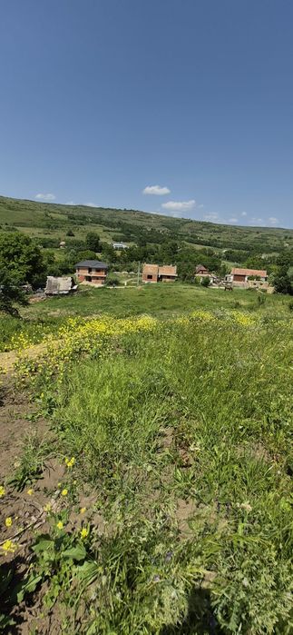 Vând teren intravilan în Feiurdeni