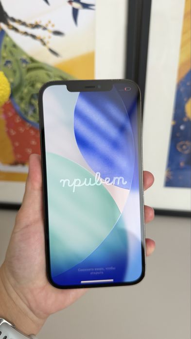 IPhone 12 pro max 256 gb