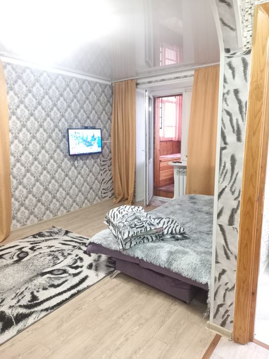 1 комн квартира посуточно