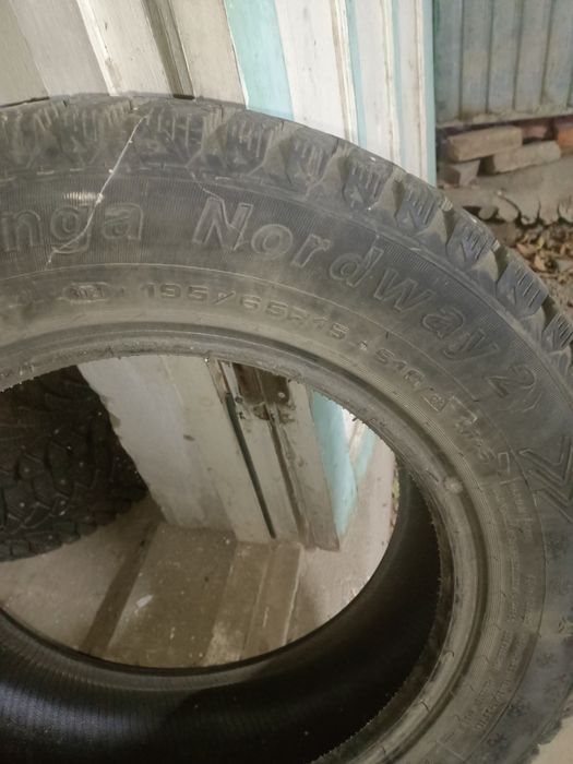 Продам шины зимние с шыпами