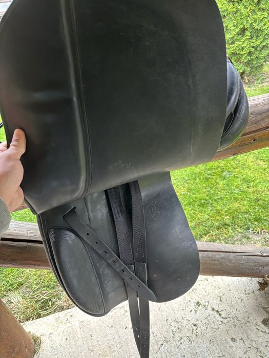 Vand sei echitatie