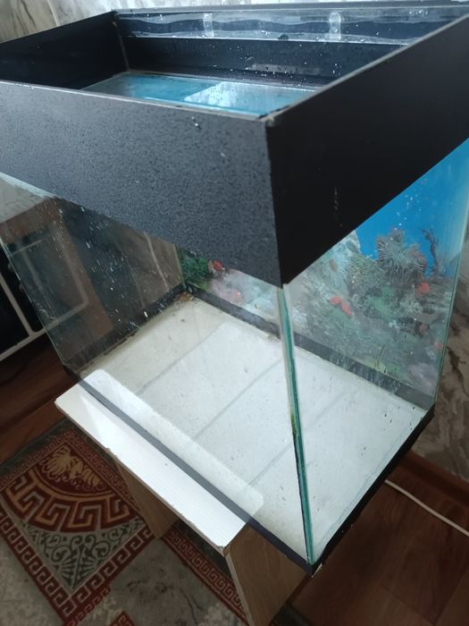 Продам аквариум срочно