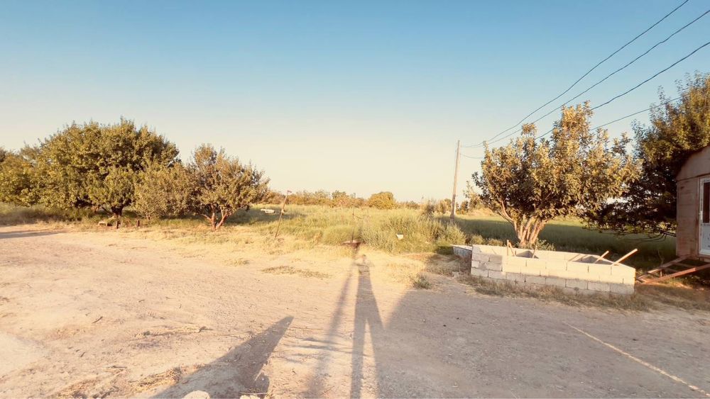 Ferma sotiladi 30 tonnalik marazelnik 10 000 ta broler boqishga joy bo