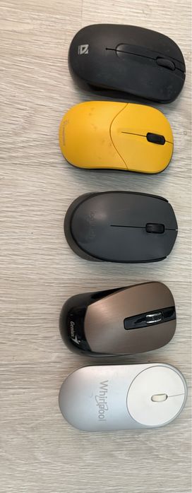 Мышки продам безпровобные