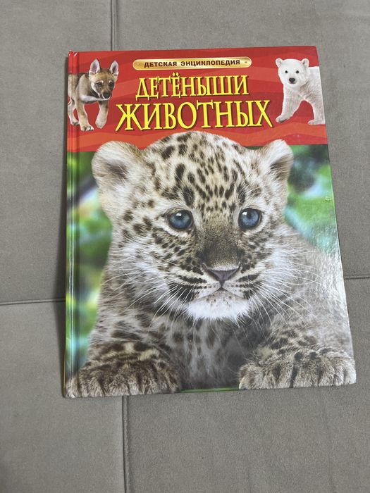 детская энциклопедия