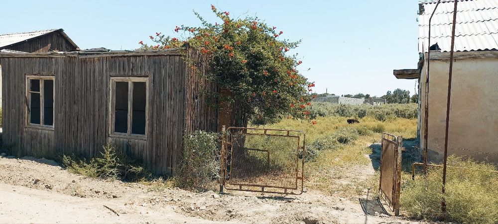 Продается 10 сотокная дача в дачном поселке 10 сотоклик дача сотилади