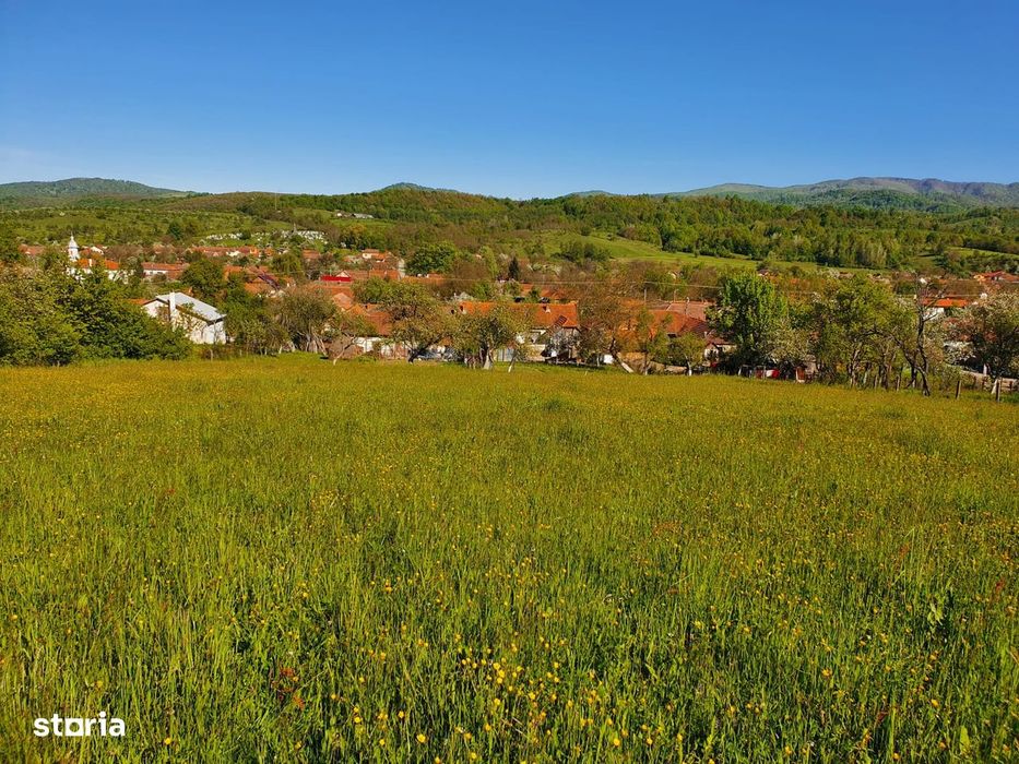 Teren Intravilan Premium 3040 mp în Românești (Tomești)