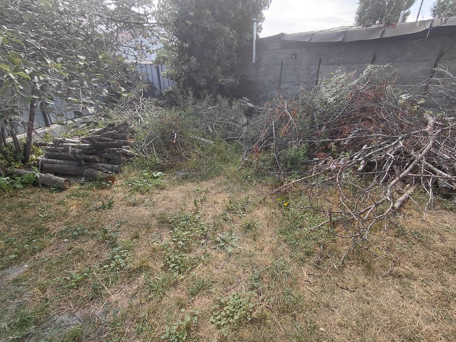 Дрова бесплатно самовывоз
