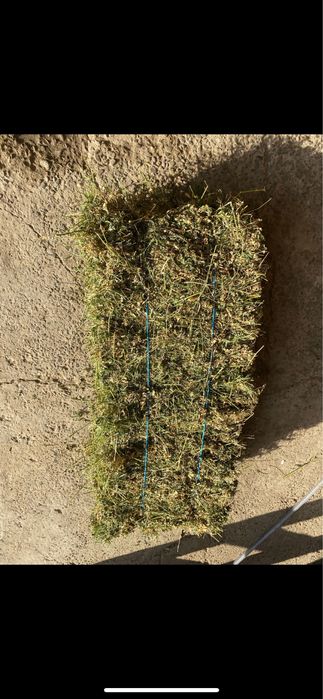 Vand baloți lucerna