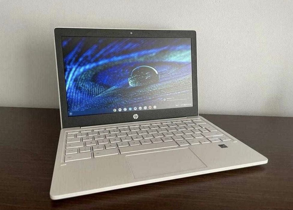 HP Chromebook 11a-na0502sa; Ca Nou