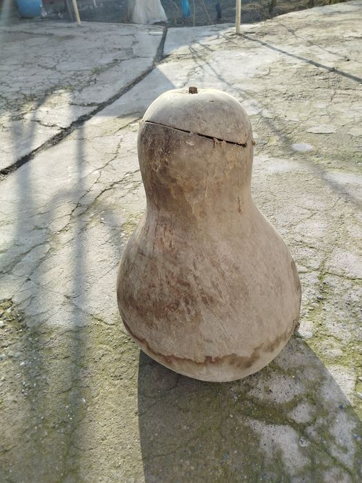 Sotiladi Katta Hajmli Qovoq