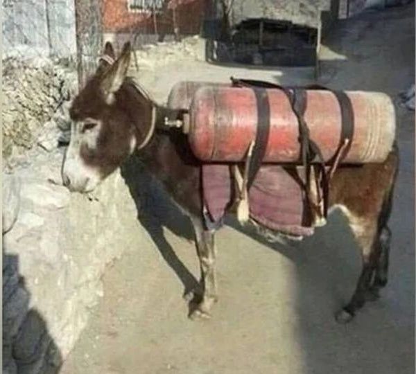 Продаю,Турбо ишак3000про