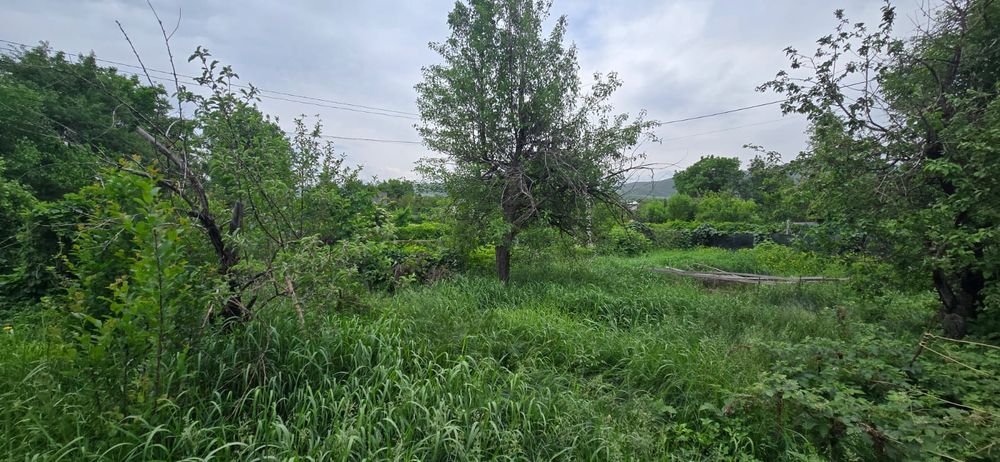Продам дачу в экологически чистом районе