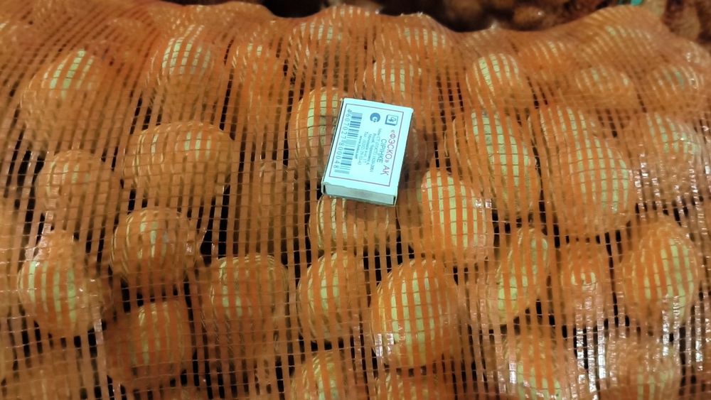 Картофель семена