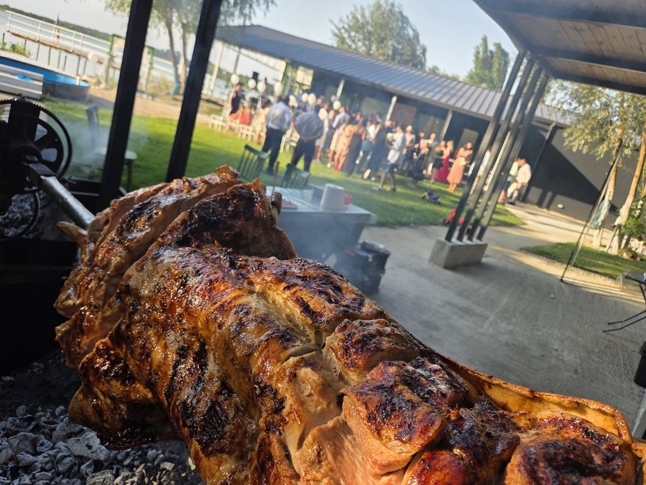 Dani,Protap,Rotisor.