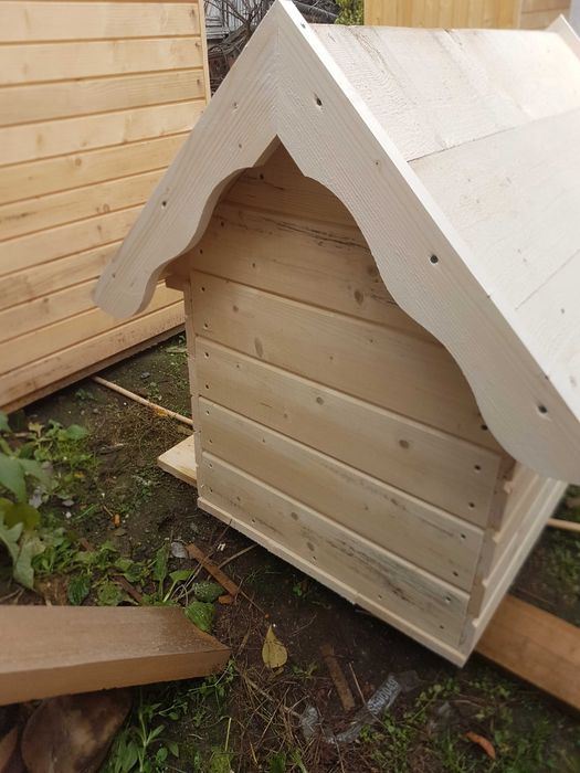 vand cusca caine. mica, mare.