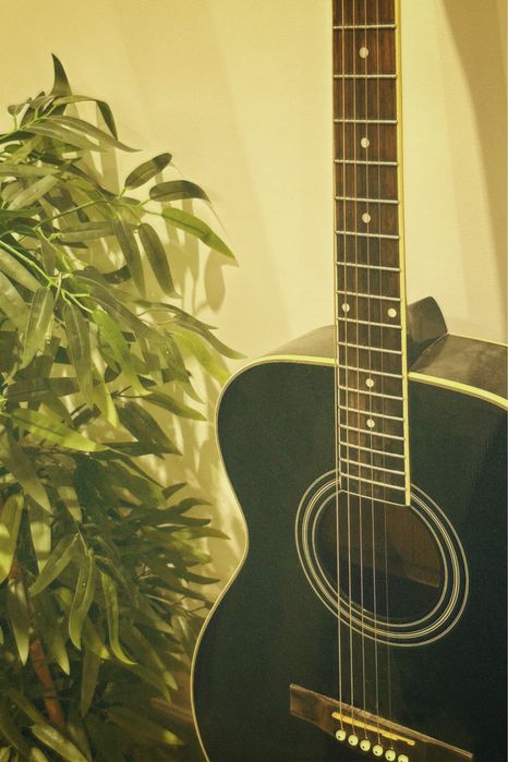 lumber гитара LF3BLK