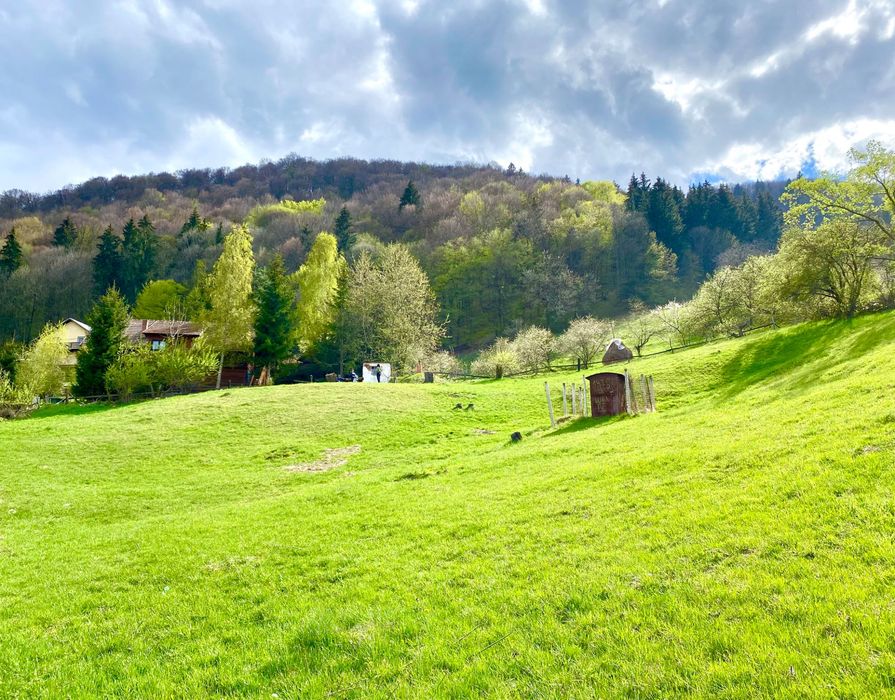 Teren intravilan 3.000 mp Bran – Predeluț | Via Transilvanica | Vedere Bucegi & Piatra Craiului | Autorizație