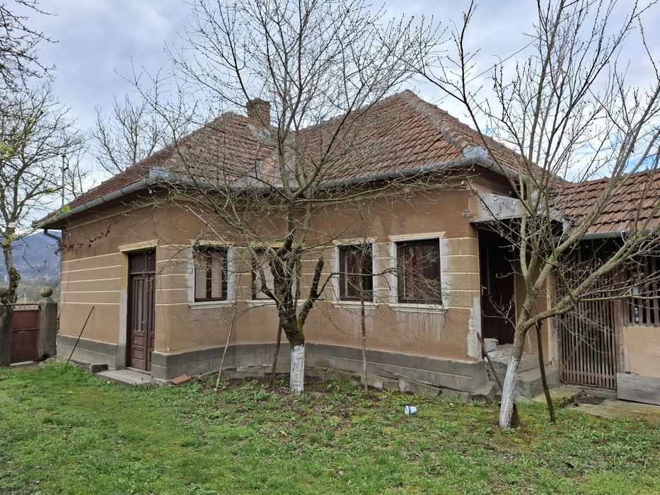 Vand casa Plescuta