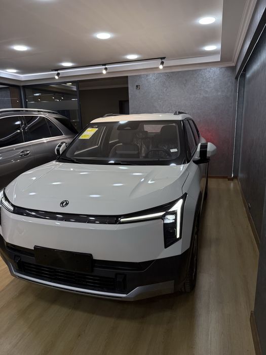 Dong Feng Nammi 06 401 km