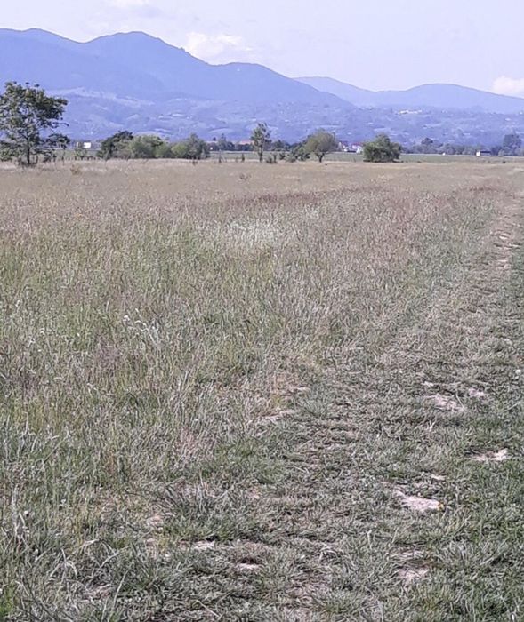 Teren intravilan 60000 mp Raul Alb