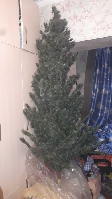 Елка Archa 200 cm