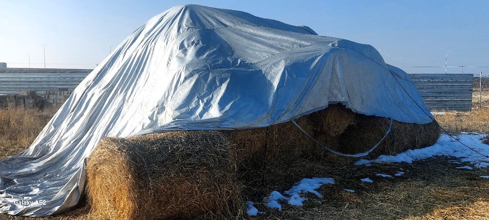 Шоп Сено.  Баканас