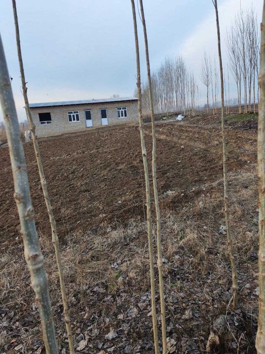 Срочно участка сотилади