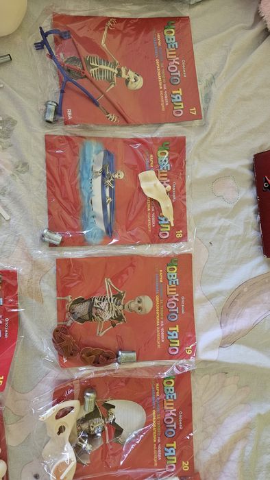 Опознай човешкото тяло