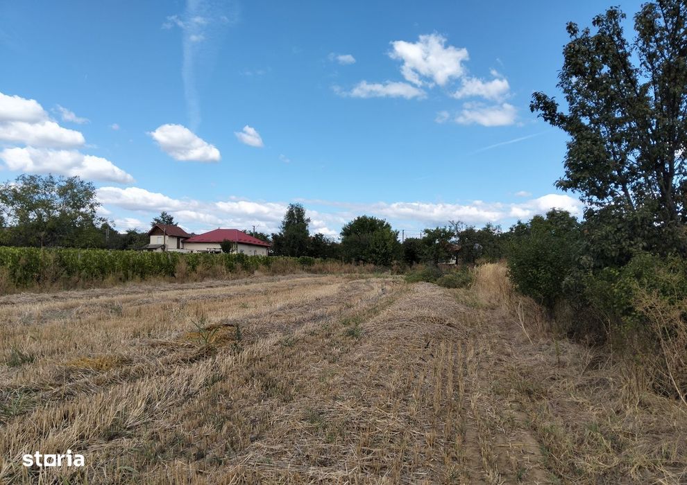 Deschidere 17,54m la DN1B, 12 km de Ploiesti com.Valea Calugareasca