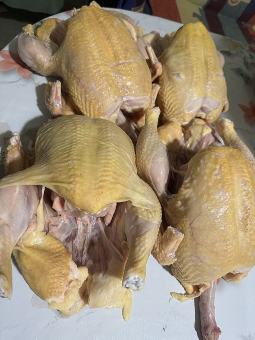 Pui albi de carne sacrificati