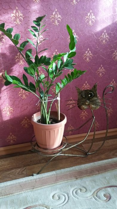 Цветы кованые...