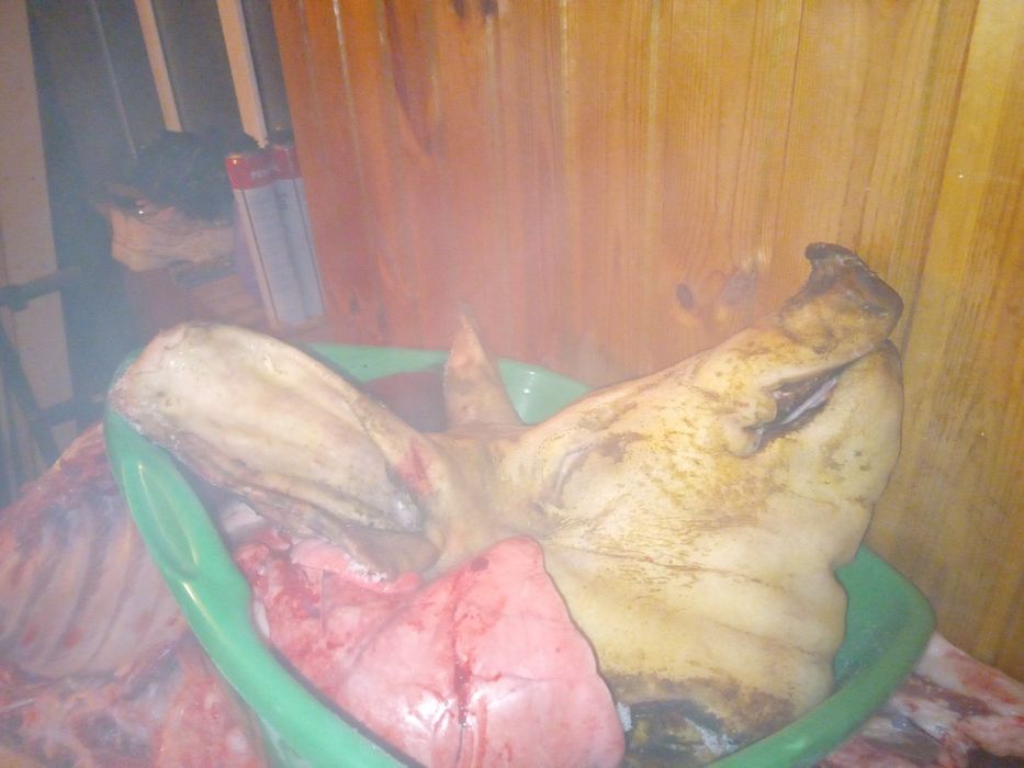 Продам мясо свинины.