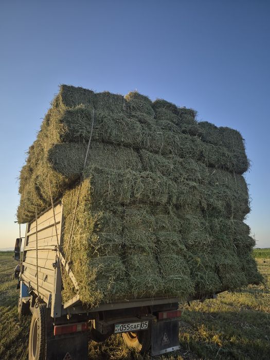 Продам сено, люцерно с доставкой