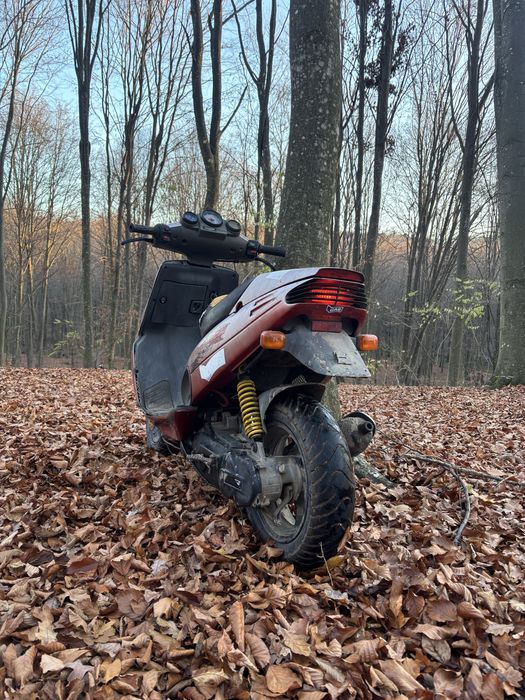 Malaguti f12 phantom