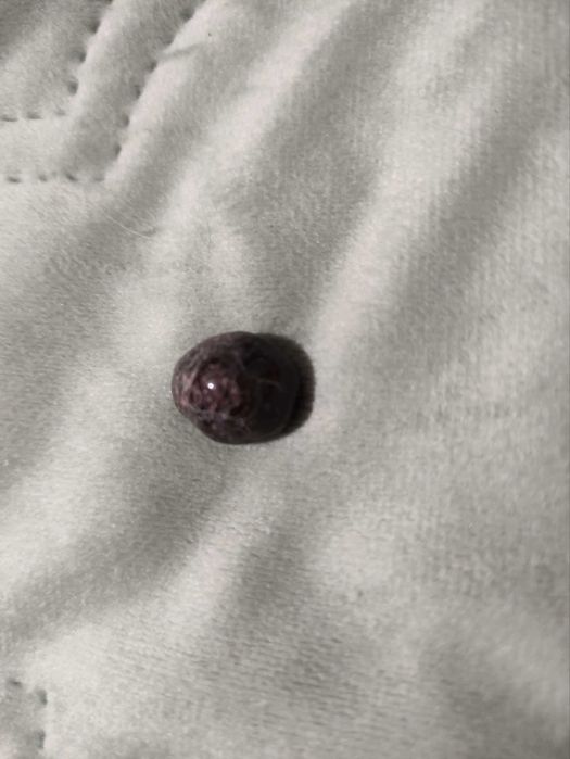 Колекция естествени кристали и полускъпоценни камъни