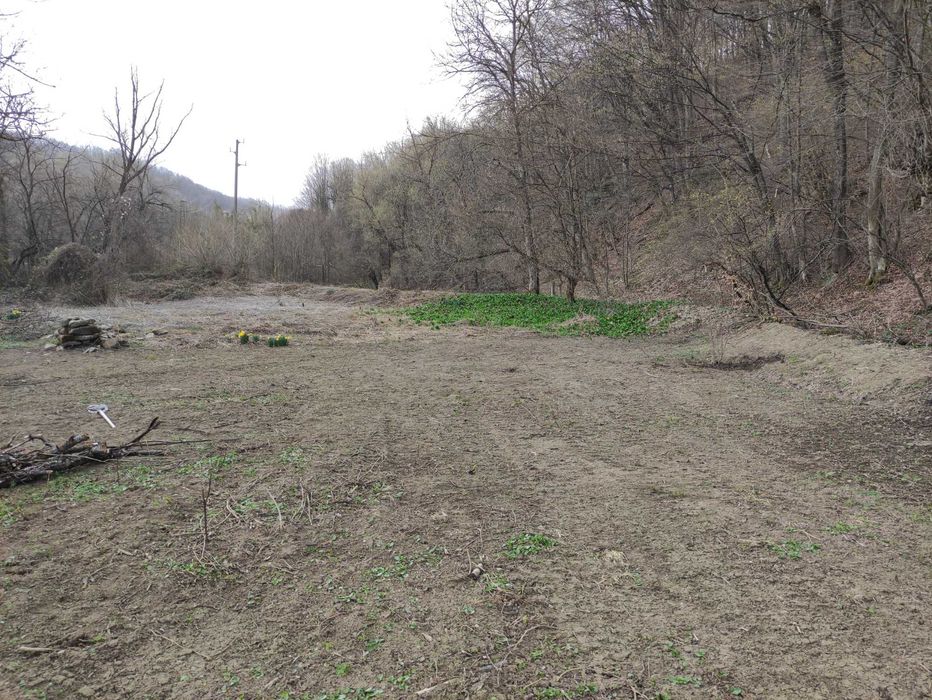 Изграждане на поливни системи. Ландшафтен дизайн. Почистване на терени