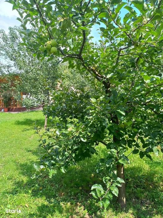 Casa superba in com Barsesti jud Vrancea Comision 0%
