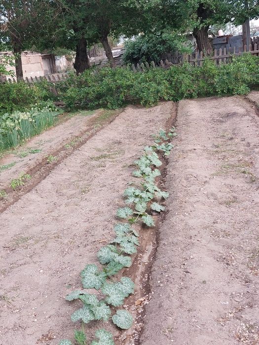 Торангылык 130 м2