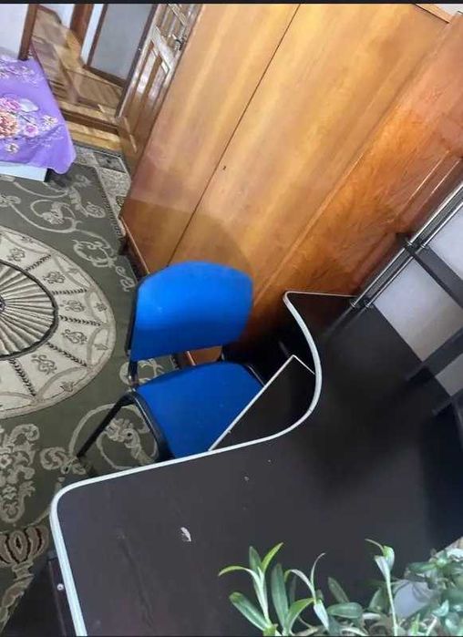 Ijaraga berilIadi — Bodomzor, 5 хона