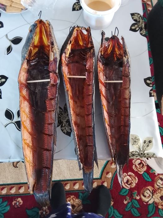 Продам рыбу капченныи