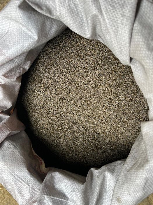 Семена люцерна. Жонышка урыгы. Жоңышқа ұрығы.