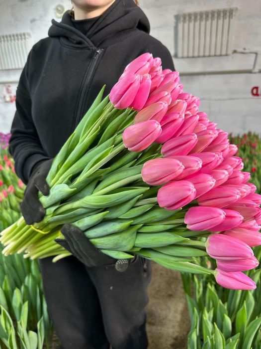 Тюльпаны в розницу ..