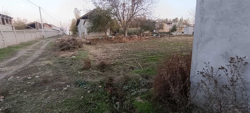 Яангйол тумани нуробот махаласи М39 400 метр кирганда 10 Уй сотилади