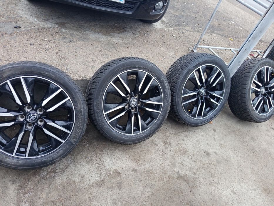 Tayotta diska balon arginal