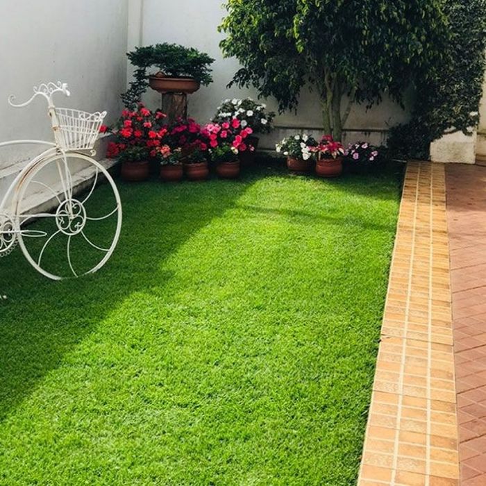 Искусственный газон 0-0-24