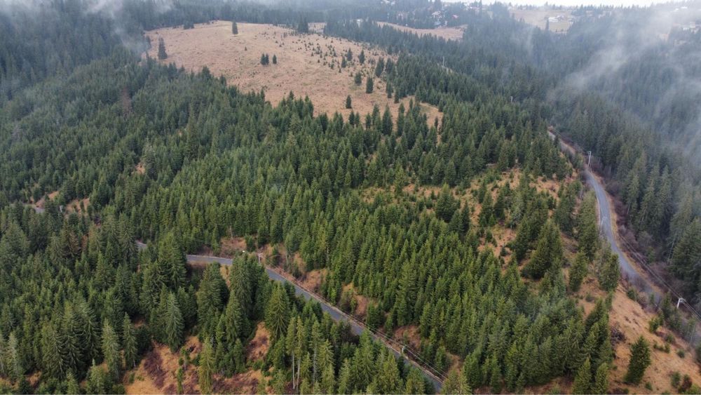 Vand parcele de 1375 si 1415 mp  la Belis aproape de lac