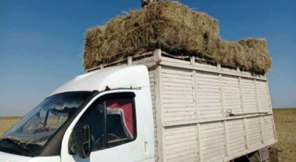 Продам сено тюках 900